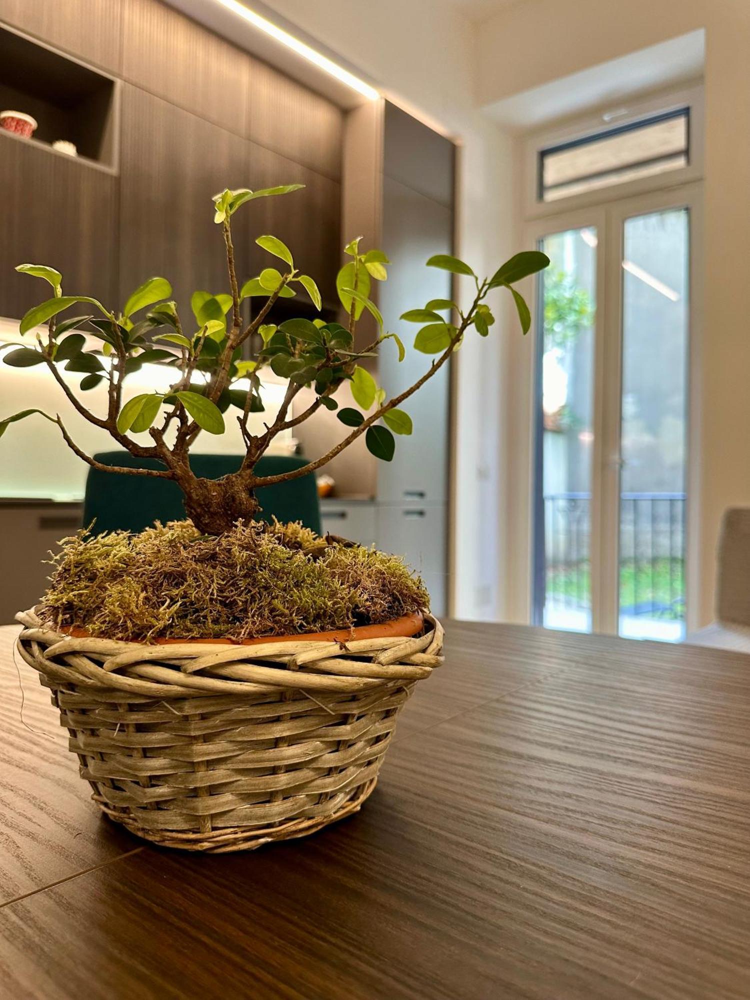 Lr Deluxe Apartments - Porta Venezia - Bilocale Con Giardino Privato Милано Екстериор снимка